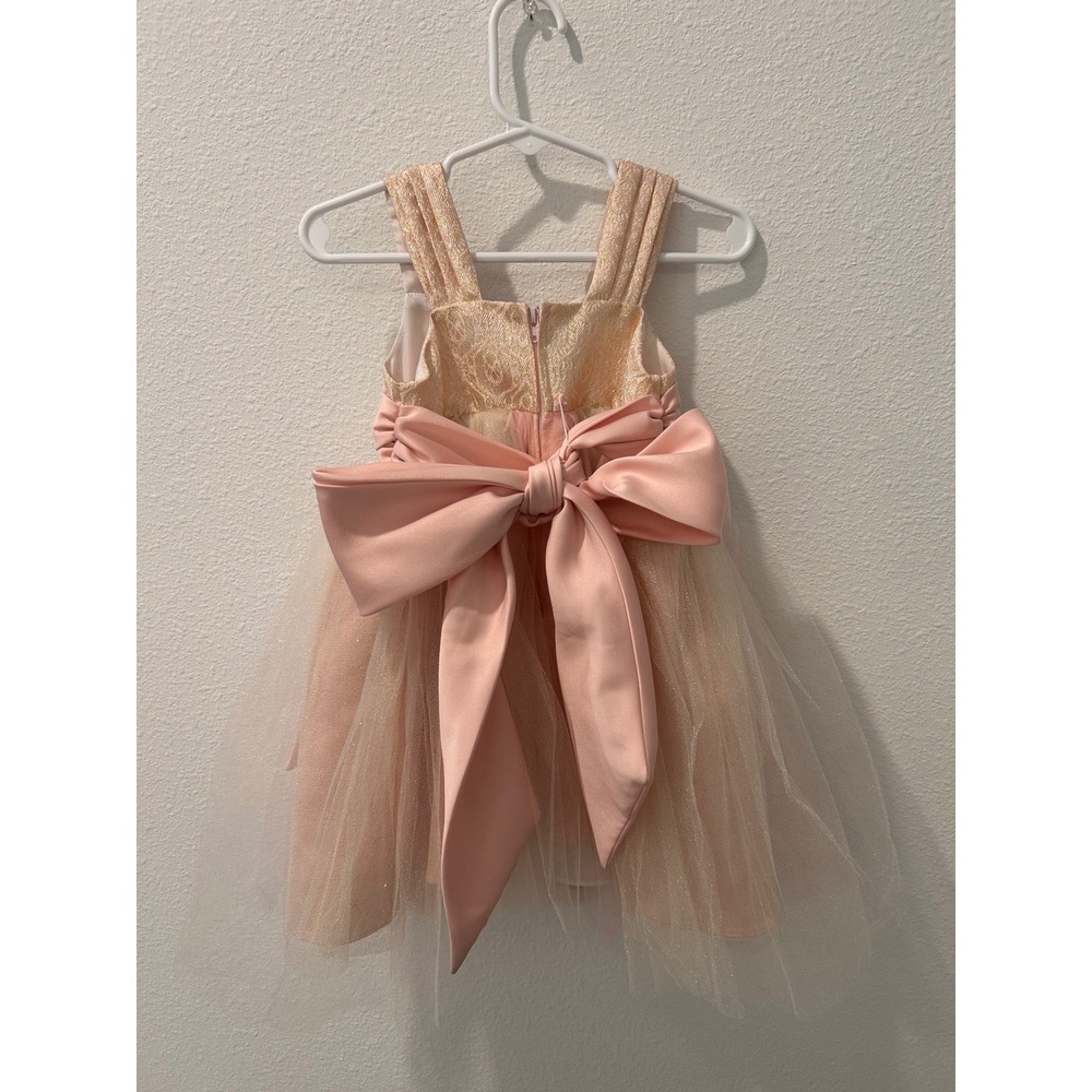 Chantilly Place Toddler Girl Pink Gold Tulle Flower Girl Formal Dress 2T - Picture 6 of 7